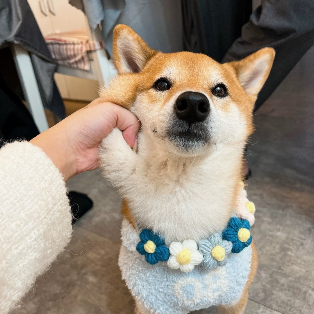 Handmade Blue Flower Collar