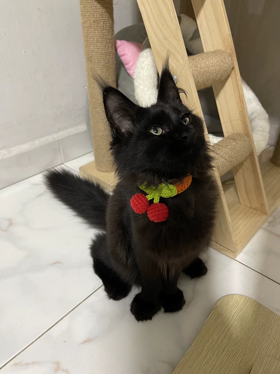 Handmade Red Cherry Collar