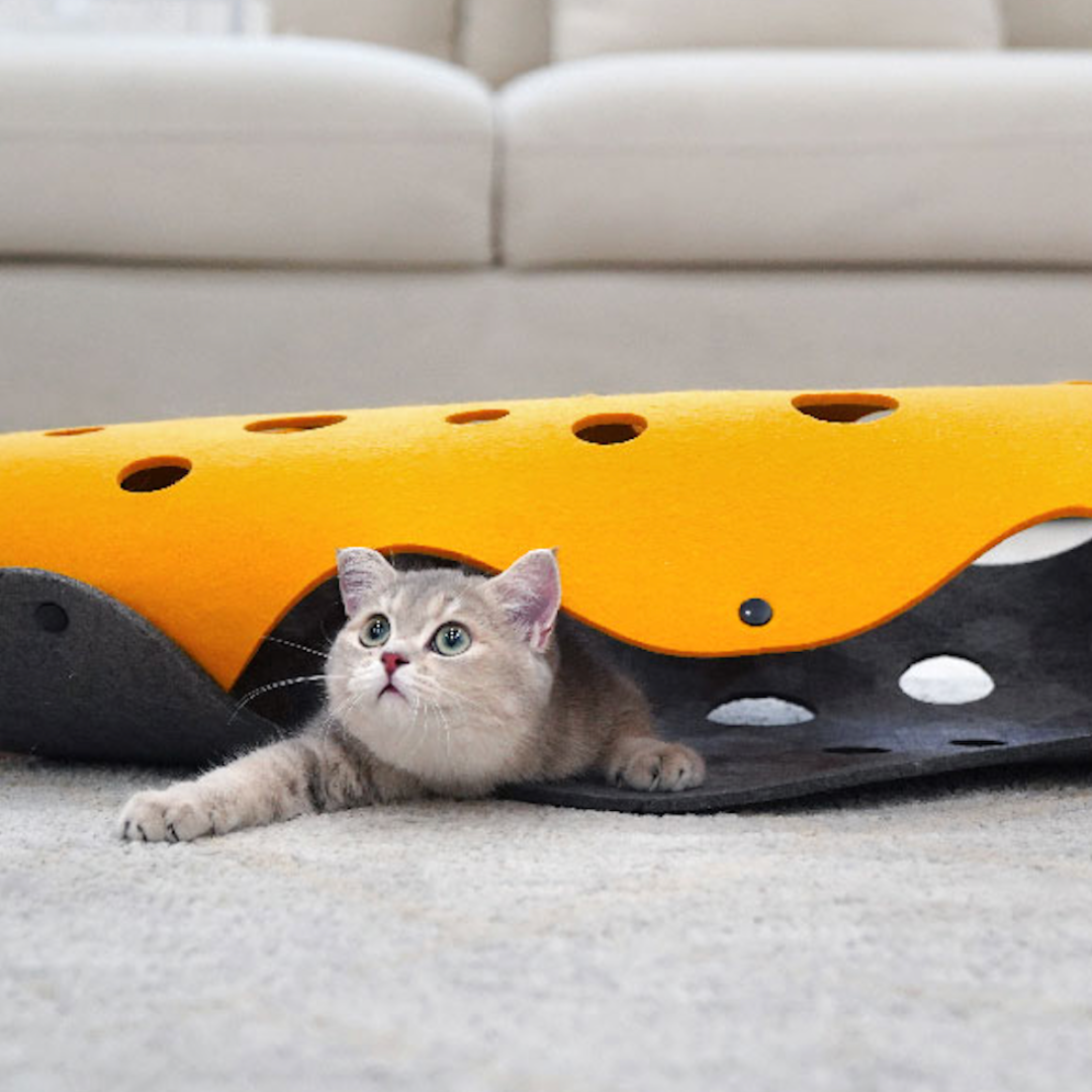 Cheese Cat Tunnel