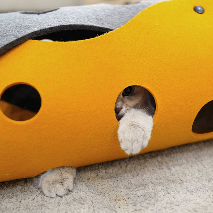 Cheese Cat Tunnel