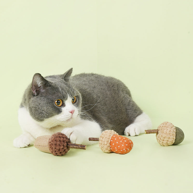 Acorn Design Silvervine Cat Toy Set