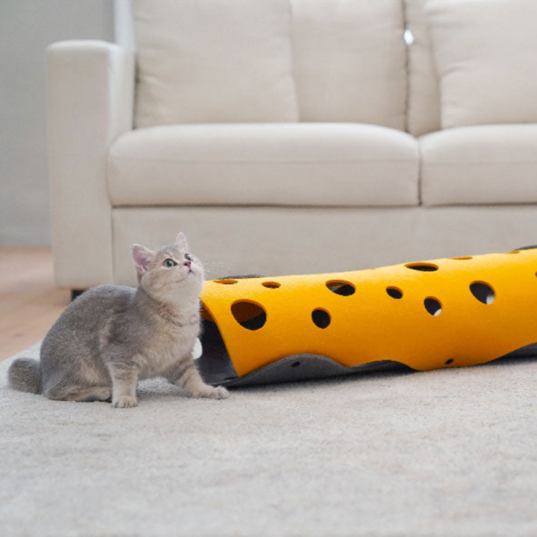 Cheese Cat Tunnel