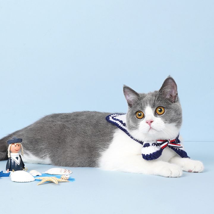 Navy Cat Collar