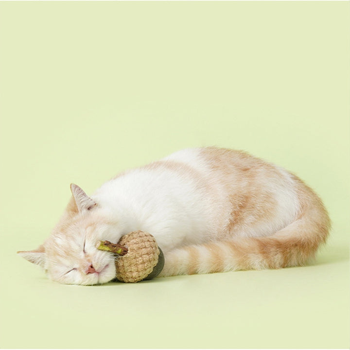 Acorn Design Silvervine Cat Toy Set